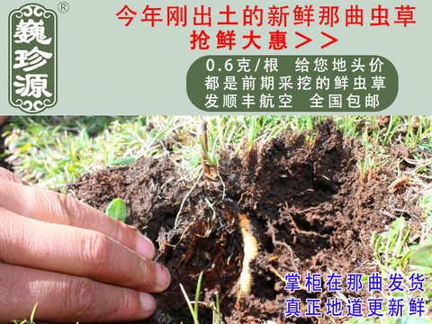 ���r���x�Ĳ����������r�x�ݣ�Ρ��Դ0.6��/���^�����r�������x�Ĳ��������ڳ����������^�����r�x��