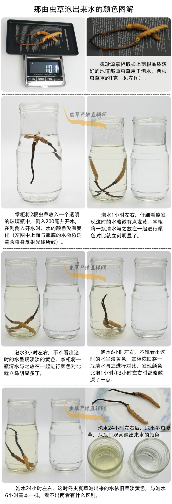 ���x�Ĳ��ݳ���ˮ���ɫ�����x�Ĳ��ݳ�����ˮ��ʲô�ɫ�����x�Ĳ���ˮ���ɫ��׃���ᣬ�����x�����^ˮ��ˮ׃��ʲô�ɫ