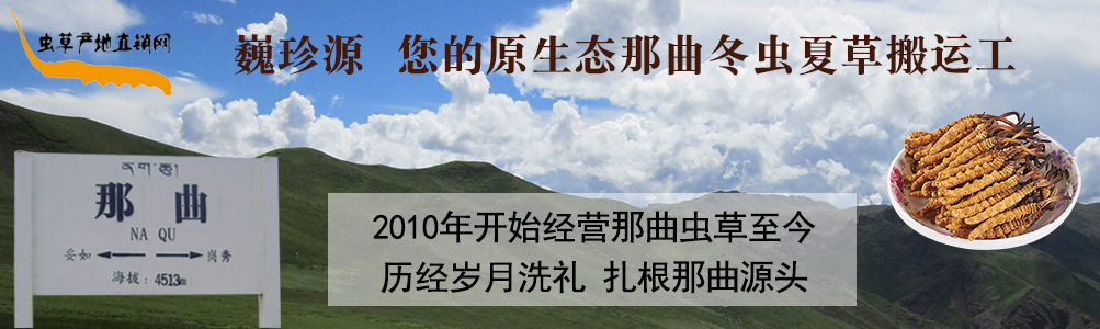 ���x(ch��ng)�Ĳ�,��B���������x(ch��ng)�������r�x(ch��ng)�ݺ��������r���x(ch��ng)�Ĳ�,���l(f��)�����x(ch��ng)�Ĳ݃r(ji��)��